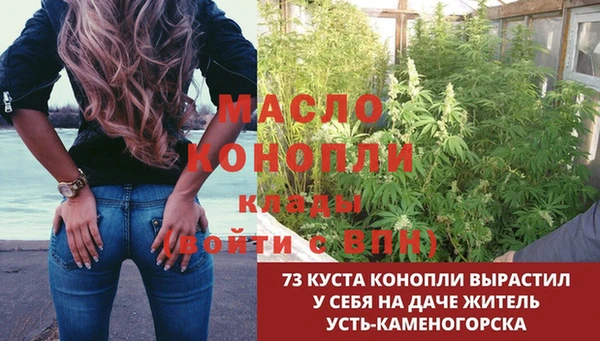 мет Каменка