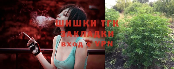мет Каменка