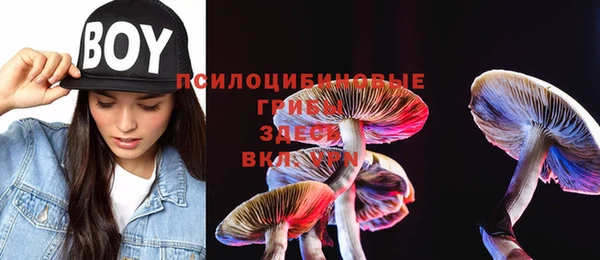 мет Каменка