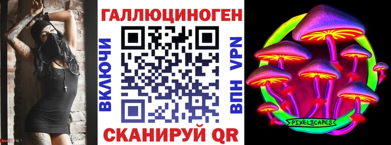 Купить где  Чернушка  Псилоцибиновые грибы мухоморы 